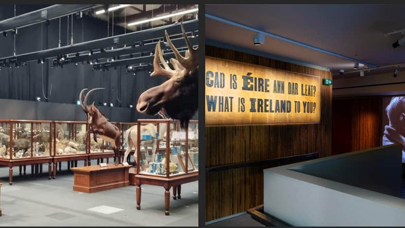 Composition of the Dead Zoo Lab and Changing Ireland Galleries