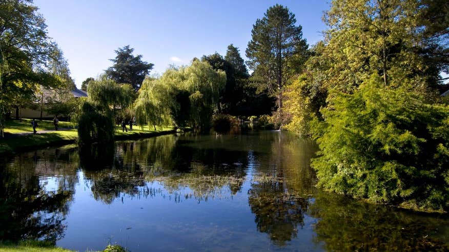 Pond at the Japanese Gardens