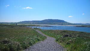 Rossespoint Coastal Walk1