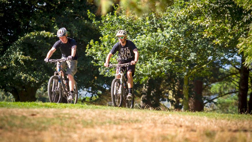 Two men biking uphill through thick trees