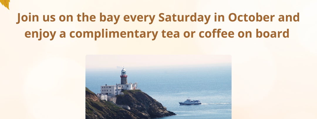 Dublin Bay Autumn-tea/coffee on board