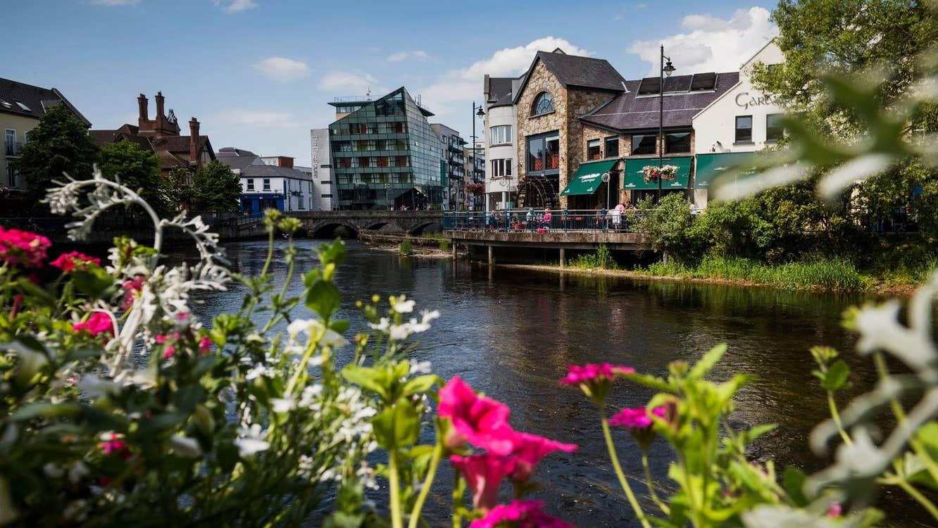 Colourful flowers along a river bank with buildings of a town in the background
