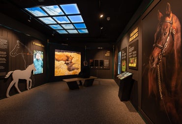 A view inside The Irish Racecourse Experience at The The Irish National Stud & Gardens