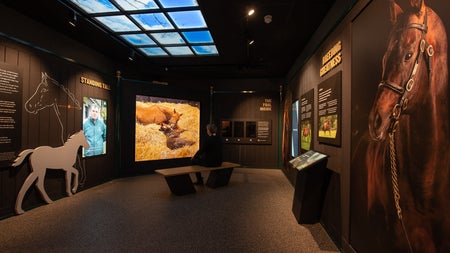 A view inside The Irish Racecourse Experience at The The Irish National Stud & Gardens