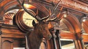 Stag's Head interior