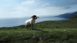 My Ireland Tour-7 Day Castles and Backroads Tour