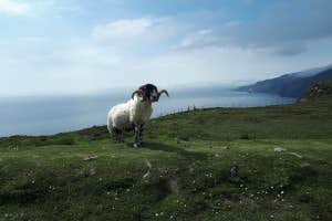 My Ireland Tour-7 Day Castles and Backroads Tour, Dublin City, Dublin
