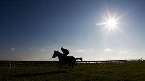 Tattersalls Bloodstock Auctioneers