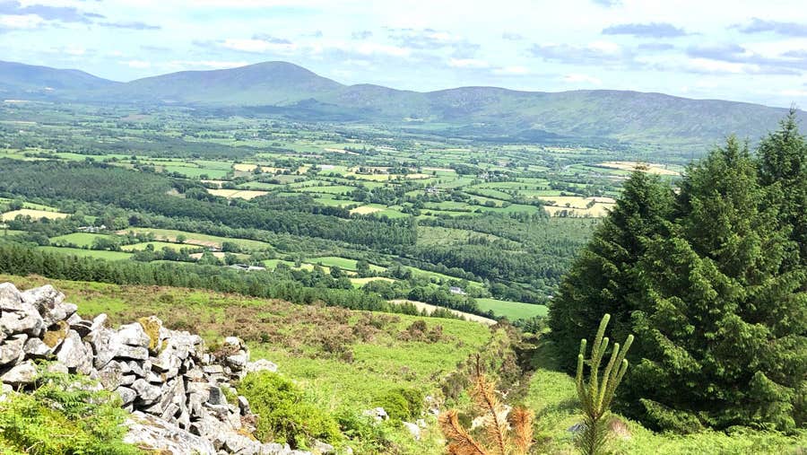 Spectacular views of Blackstairs Mountain with Hidden Trails