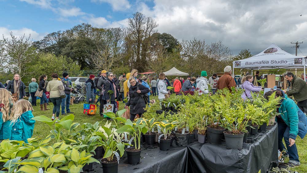 Outdoors are tables covered in plants for sale with groups of people