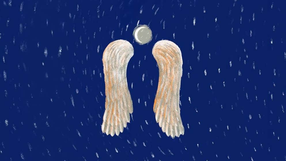 Hand drawn image of a pair of long, pale wings against dark blue sky at night with hint of stars