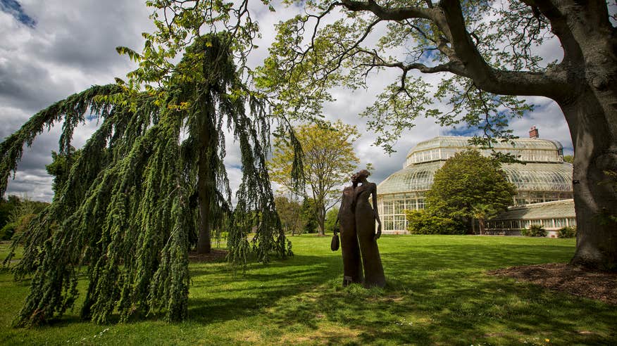 A sculpture under a tree at the National Botanic Gardens in County Dublin. 