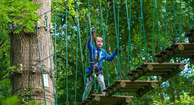 Boy walking across a rope bridge wearing a harness at Zipit Lough Key Ltd, Roscommon