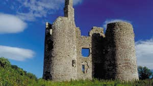Image of Ballinfad Castle