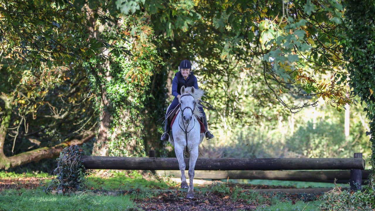 Girl on a white horse going over a jump