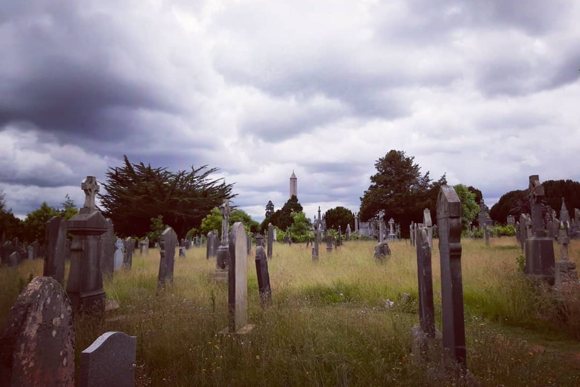 Grass growing high between unkept graves at Glasnevin Cemetery on a stormy day.