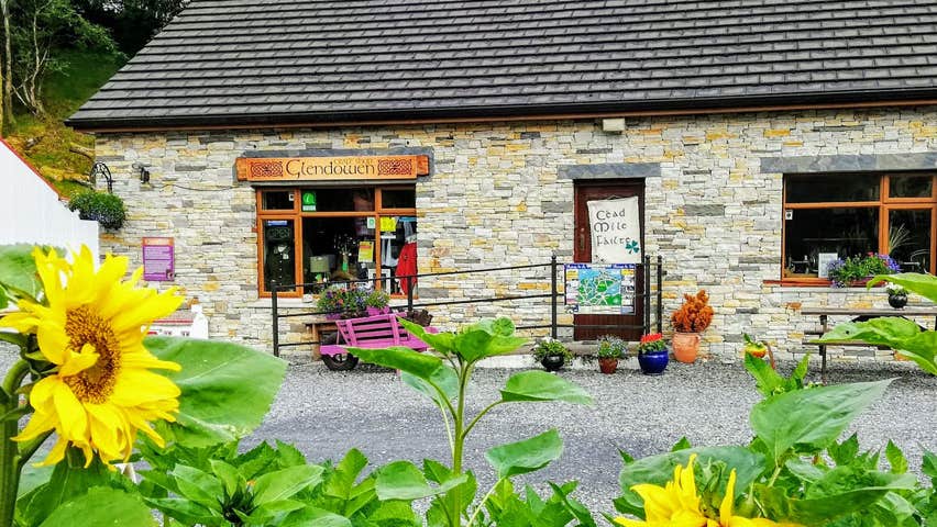 An exterior view of the craft shop which is a bungalow with a window to the left and right of the front door which has a long railed wheelchair ramp leading to the front door and in the forefront of the picture there is sunflowers in full bloom