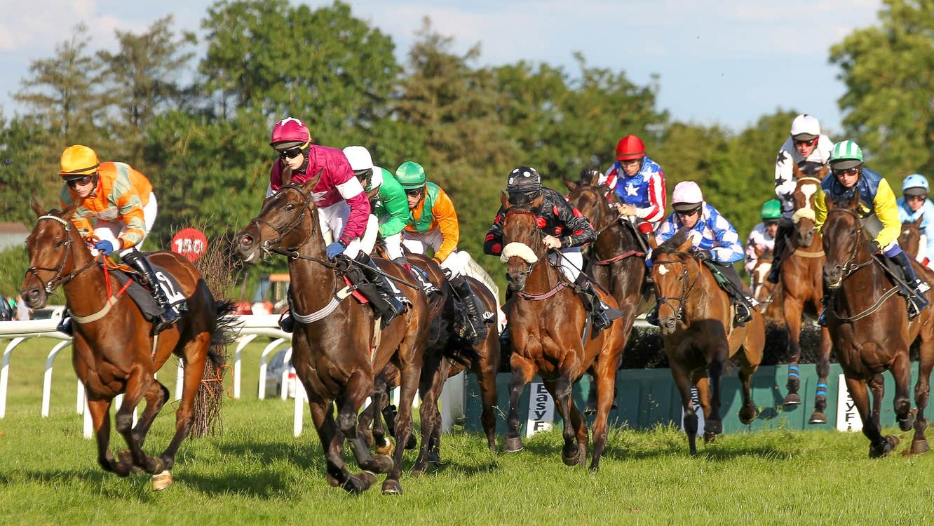 A race in progress with lots of brown horses with colourful jockeys