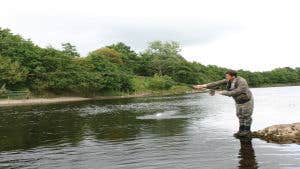 Mount Falcon Fisheries