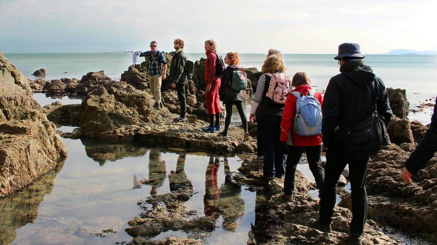 People on a Shane's Howth Adventures Tour in Howth, County Dublin