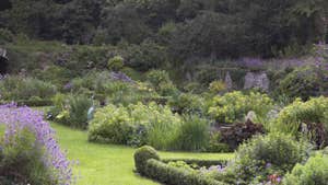 Wexford Garden Trail