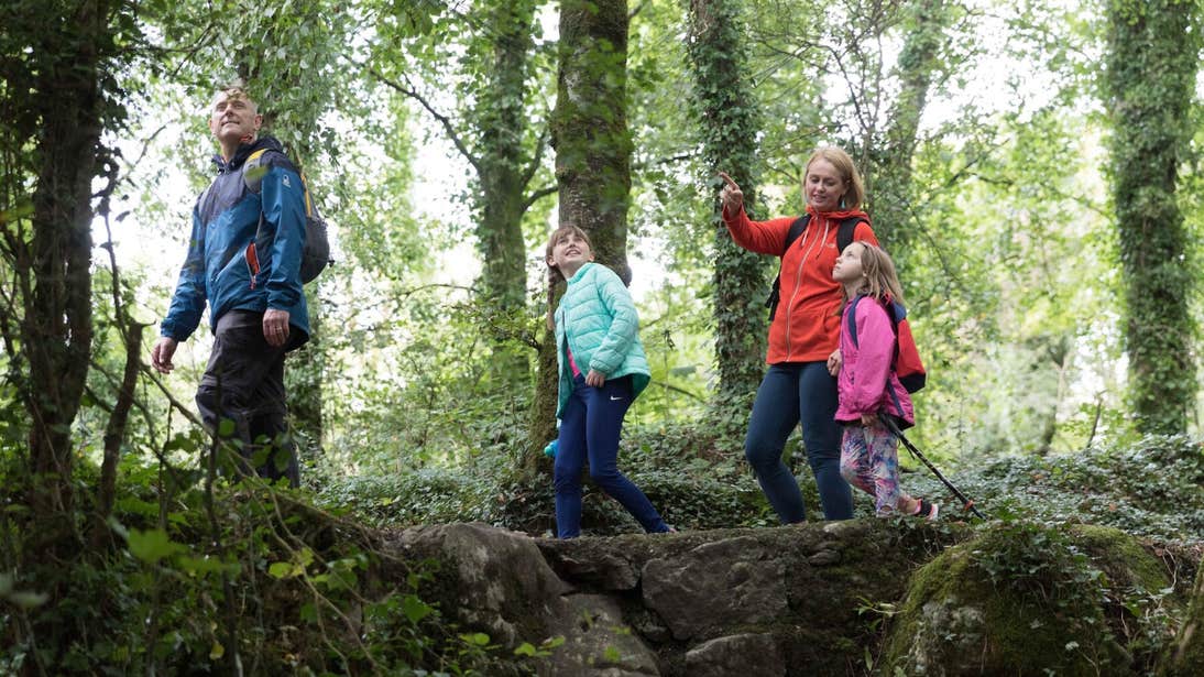 Family walking Dromore Wood Nature Reserve, Ennis, Co Clare