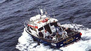 Peter Power - Deep Sea Angling