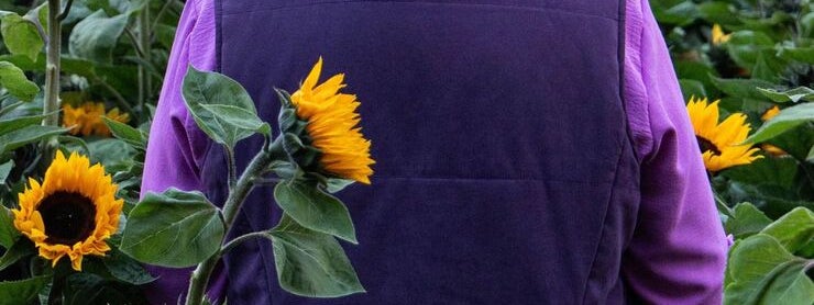 Film poster showing rear view of women in purple jacket standing in a field of sunflowers