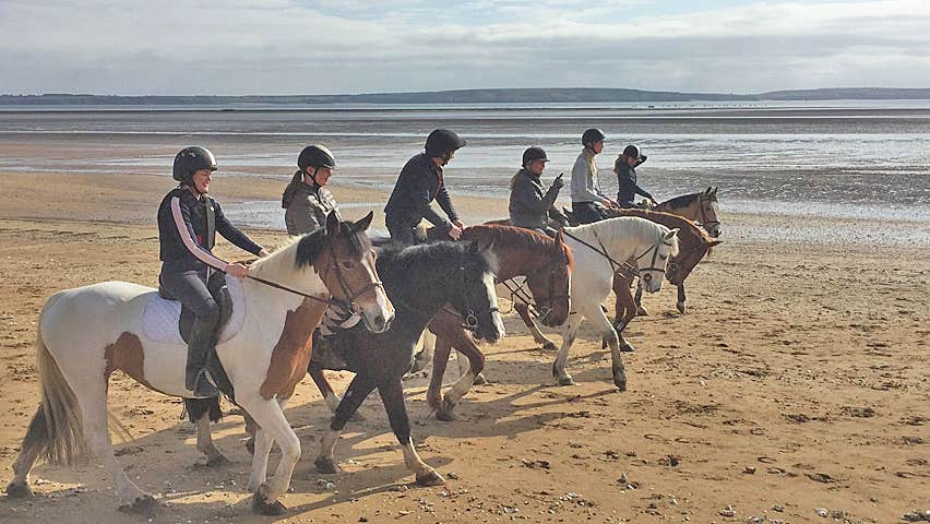 Pallas Equestrian group of six riders on a sandy beach