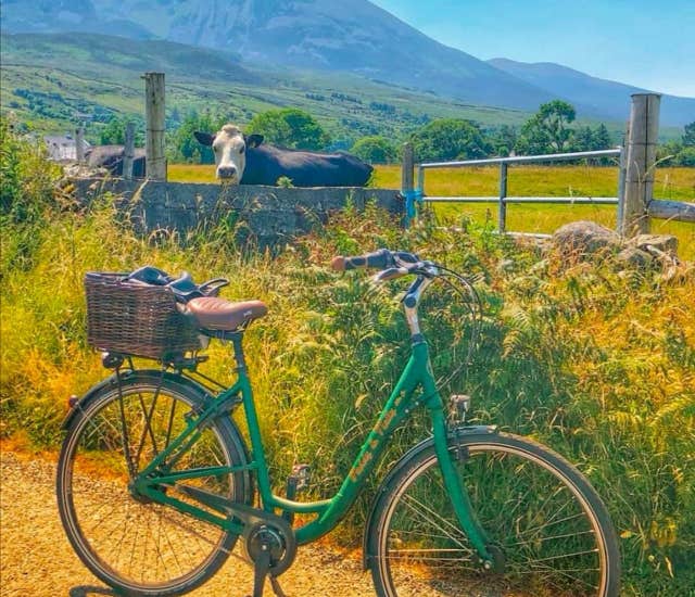 Paddy and Nelly Bike Hire, Westport, Mayo