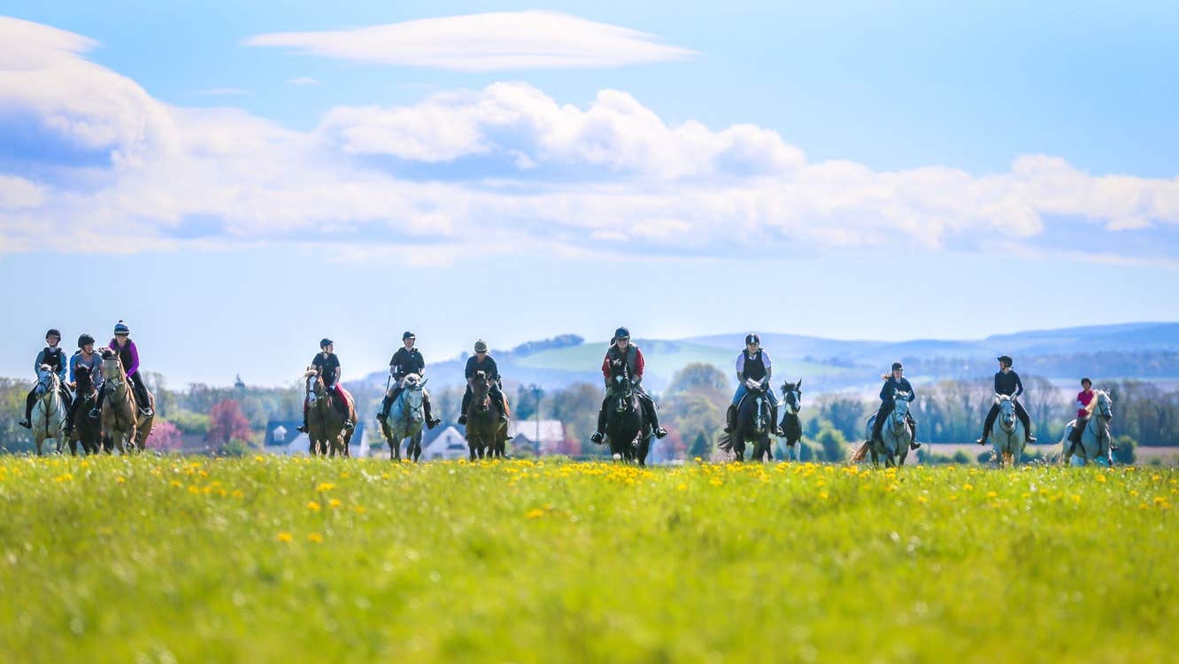 Group of horse riders crossing a green meadow under a bright blue sky