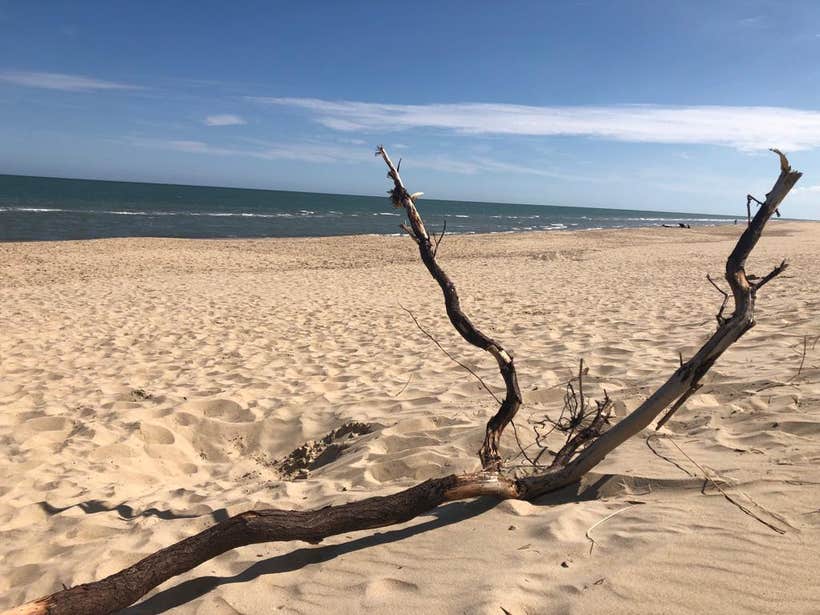 Morriscastle Beach in County Wexford.