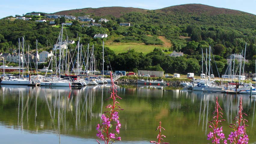 A view of the Marina showing multiple boats berthed against a mountainside backdrop