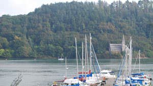 Cove Sailing Club