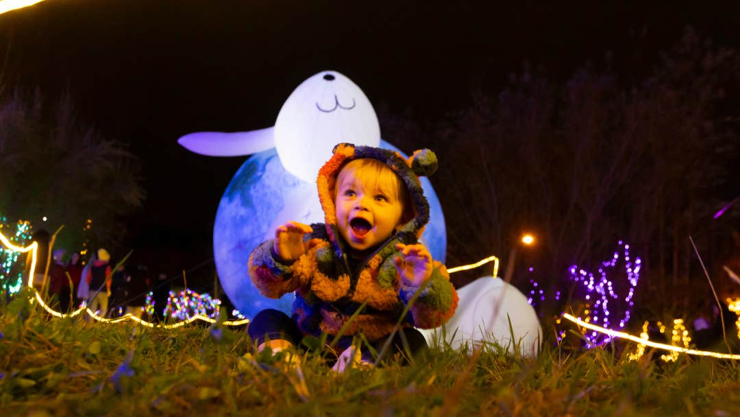 GLOW - WINTERVAL FAIRYLIGHT GARDEN