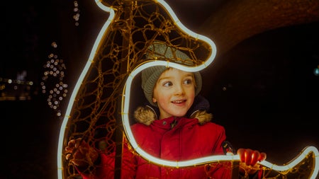 Airfield Estate Christmas Experience