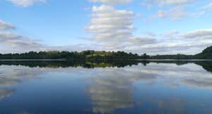 Killykeen Forest Park - Nature Trail