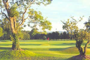 The green at Roscommon Golf Club