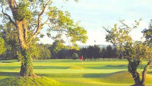 The green at Roscommon Golf Club