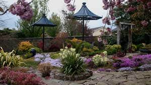 Coolwater Garden