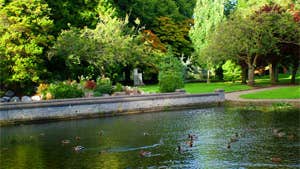 Fitzgerald Park