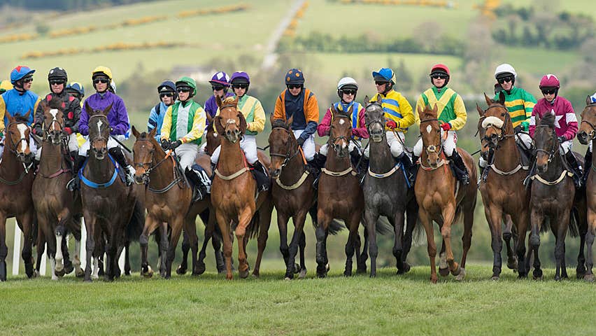 Punchestown Racecourse row of horses and jockeys