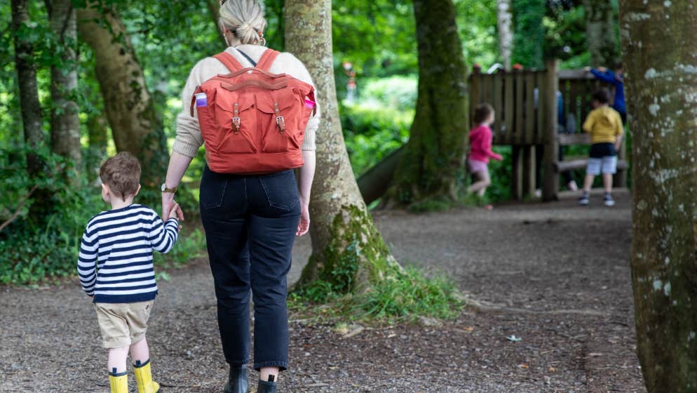 National Museum of Ireland, Turlough Park - rear view of adult and child walking in a wooded area