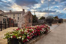 Image of flowers in Ennis in County Clare