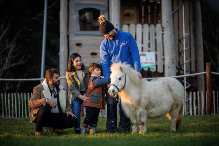 Parents and their young child petting a miniature horse.