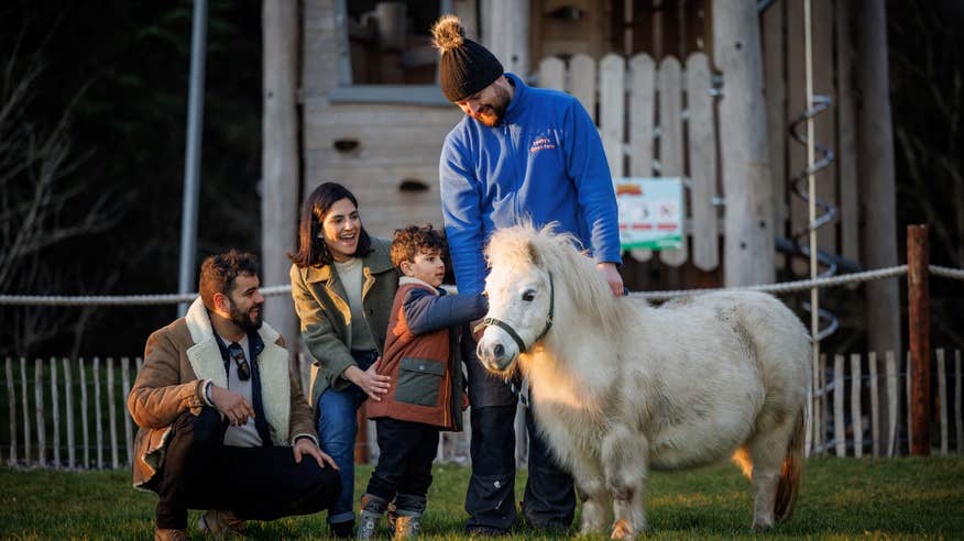 Parents and their young child petting a miniature horse.