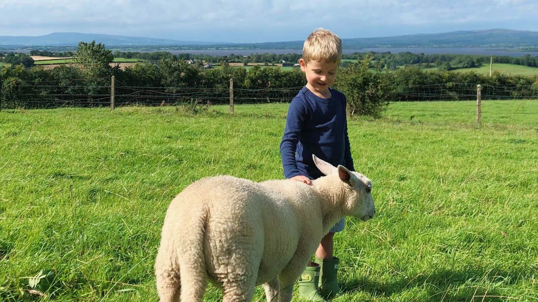 A boy and a sheep at Brookfield Farm, Tipperary