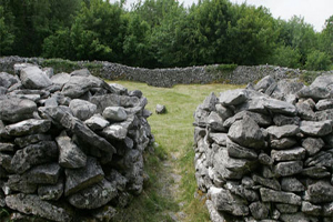 Mooghaun Bronze Age Hillfort, Clare