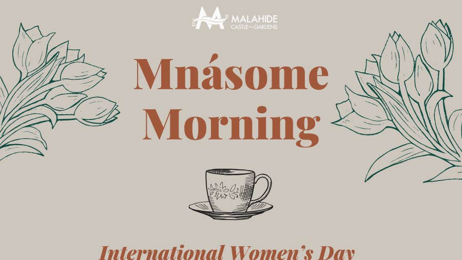 Mnasome Morning - International Women's Day at Malahide Castle.