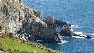 Children of Lir Loop